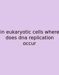 In Eukaryotic Cells Where Does Dna Replication Occur
