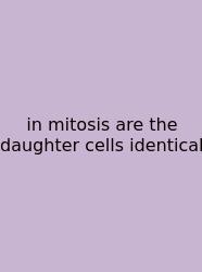 In Mitosis Are The Daughter Cells Identical