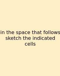 In The Space That Follows Sketch The Indicated Cells