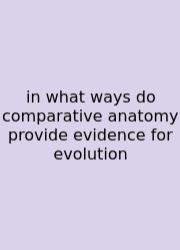 In What Ways Do Comparative Anatomy Provide Evidence For Evolution
