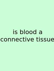 Is Blood A Connective Tissue