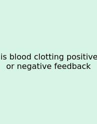 Is Blood Clotting Positive Or Negative Feedback