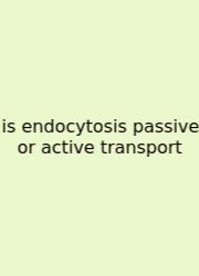 Is Endocytosis Passive Or Active Transport