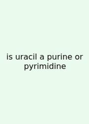 Is Uracil A Purine Or Pyrimidine