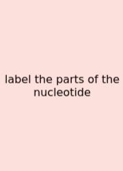 Label The Parts Of The Nucleotide