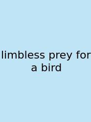 Limbless Prey For A Bird