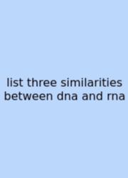 List Three Similarities Between Dna And Rna