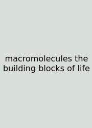 Macromolecules The Building Blocks Of Life