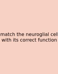 Match The Neuroglial Cell With Its Correct Function