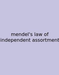 Mendel's Law Of Independent Assortment