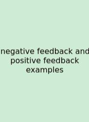 Negative Feedback And Positive Feedback Examples