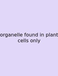 Organelle Found In Plant Cells Only