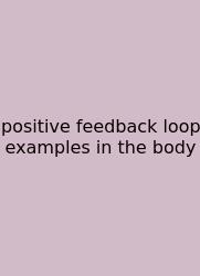 Positive Feedback Loop Examples In The Body