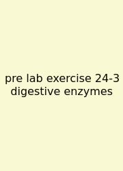 Pre Lab Exercise 24-3 Digestive Enzymes