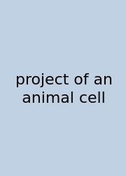 Project Of An Animal Cell