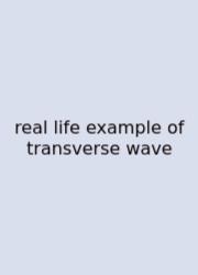 Real Life Example Of Transverse Wave
