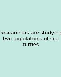 Researchers Are Studying Two Populations Of Sea Turtles