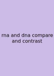 Rna And Dna Compare And Contrast