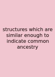 Structures Which Are Similar Enough To Indicate Common Ancestry