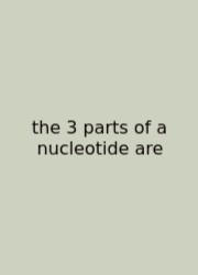 The 3 Parts Of A Nucleotide Are