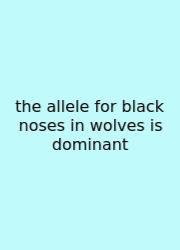 The Allele For Black Noses In Wolves Is Dominant