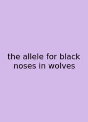 The Allele For Black Noses In Wolves