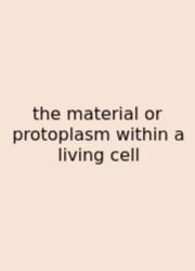 The Material Or Protoplasm Within A Living Cell