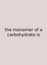 The Monomer Of A Carbohydrate Is