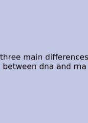 Three Main Differences Between Dna And Rna