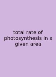 Total Rate Of Photosynthesis In A Given Area