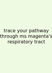 Trace Your Pathway Through Ms Magenta's Respiratory Tract
