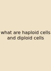 What Are Haploid Cells And Diploid Cells