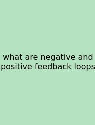 What Are Negative And Positive Feedback Loops