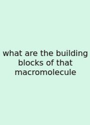 What Are The Building Blocks Of That Macromolecule