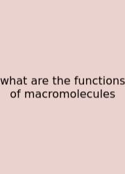 What Are The Functions Of Macromolecules