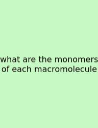 What Are The Monomers Of Each Macromolecule