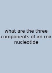 What Are The Three Components Of An Rna Nucleotide