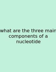 What Are The Three Main Components Of A Nucleotide