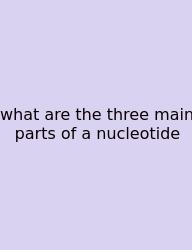 What Are The Three Main Parts Of A Nucleotide
