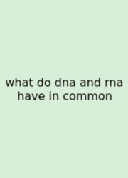 What Do Dna And Rna Have In Common