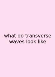 What Do Transverse Waves Look Like