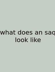 What Does An Saq Look Like