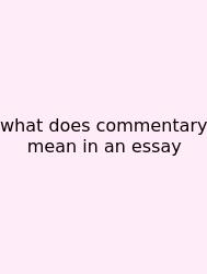 What Does Commentary Mean In An Essay