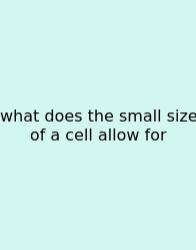 What Does The Small Size Of A Cell Allow For