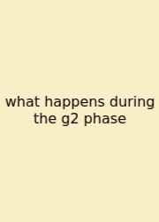 What Happens During The G2 Phase