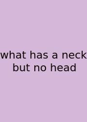 What Has A Neck But No Head