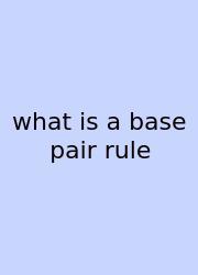 What Is A Base Pair Rule