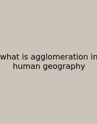 What Is Agglomeration In Human Geography