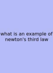 What Is An Example Of Newton's Third Law