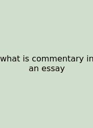 What Is Commentary In An Essay